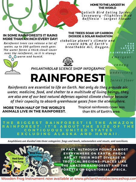 Hip Habitats: The Rainforest