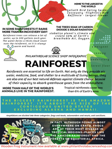 Hip Habitats: The Rainforest