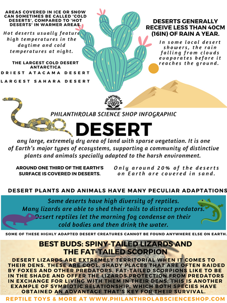 Hip Habitats: The Desert