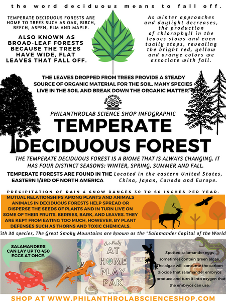 Hip Habitats: Temperate Deciduous Forest