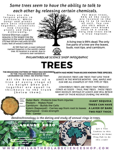Power of Plants: Trees