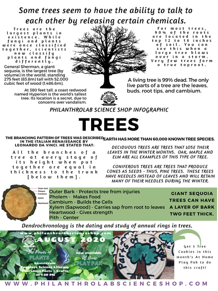 Power of Plants: Trees