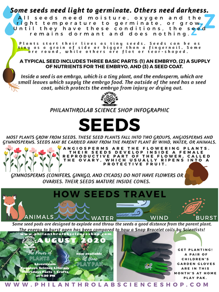 Power of Plants: Seeds