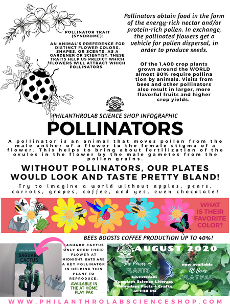 Power of Plants: Pollinators