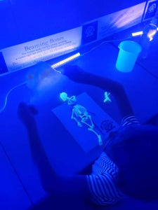 GLOWLAB Science, Sensory Celebration