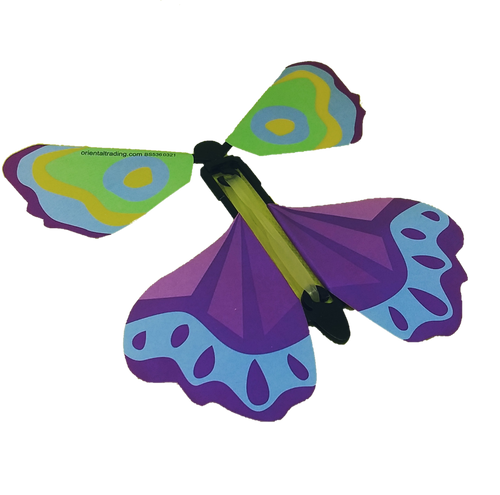 Flying Butterfly