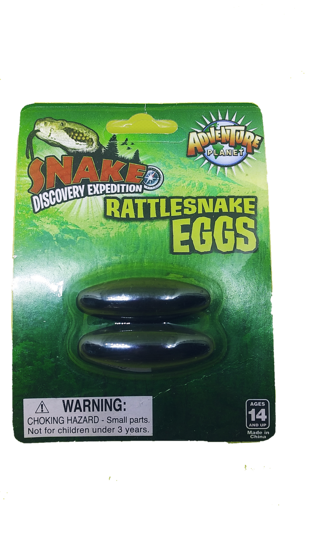Snake egg magnets shop