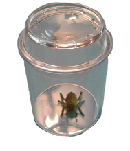Magnifying Bug Jar