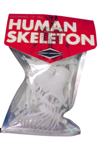 Glowing Human Skeleton